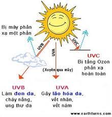 Hoạt chất chống nắng Uvinul A plus B